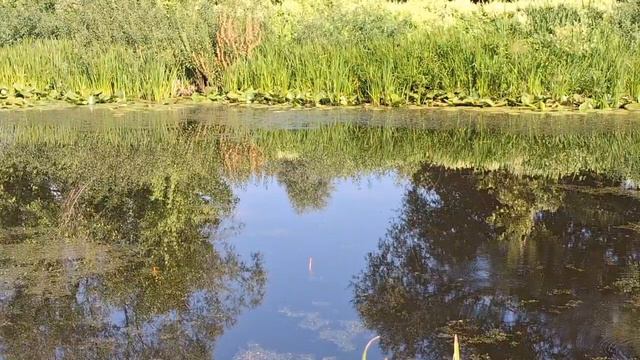 0dfa4d744ee7fcff9f06fc684de49455