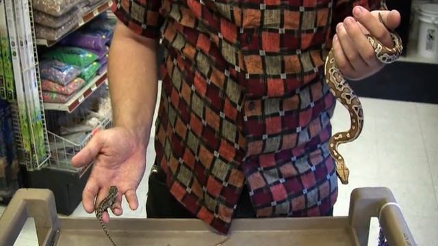 690d5871bfdbb2ec74f61451e367838b