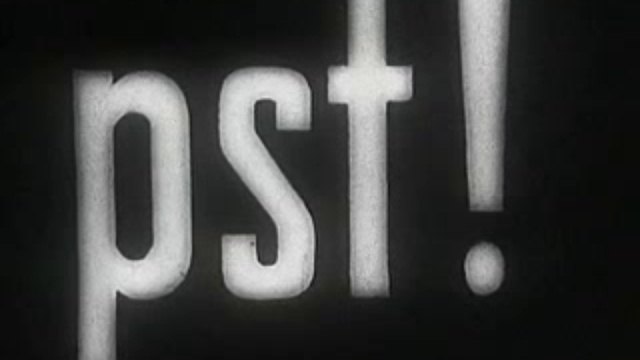 Генералы Гитлера. Канарис