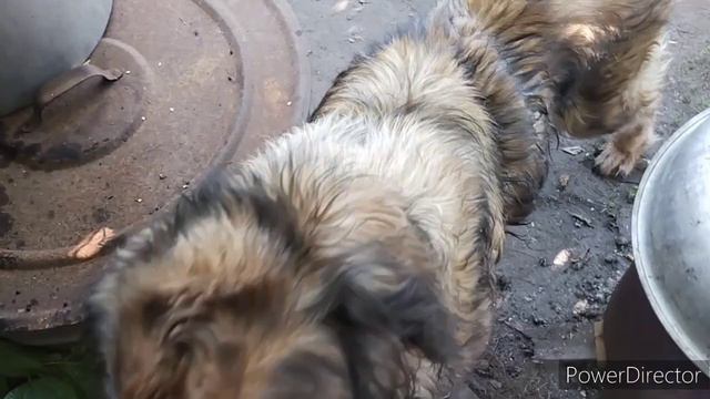 Славянск.30.07.22. Завтрак и ВСЁ остальное по расписанию.