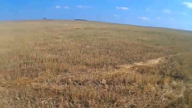 Minelab Go Find 60 Впечатление от прибора за 3 месяца
