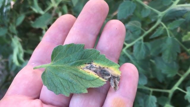 Afb2704c404e6027e20655427d8c87f7