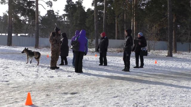 Тестирование РА Опасная Особа