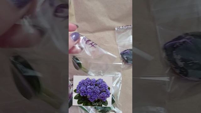 Та скільки можна?... огляд нової посилки 🤭