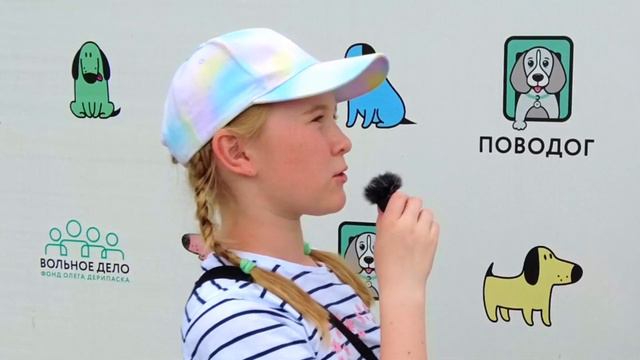 Волонтеры Активного Сочи в приюте ПовоДог. Возьмите собаку, ведь каждому нужен друг!