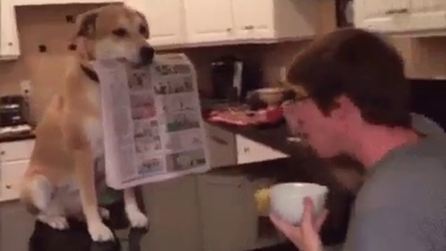 2b159b5701378dc2e213eac63a701b49