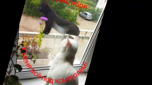 Улыбайся с друзьями всегда и веселись