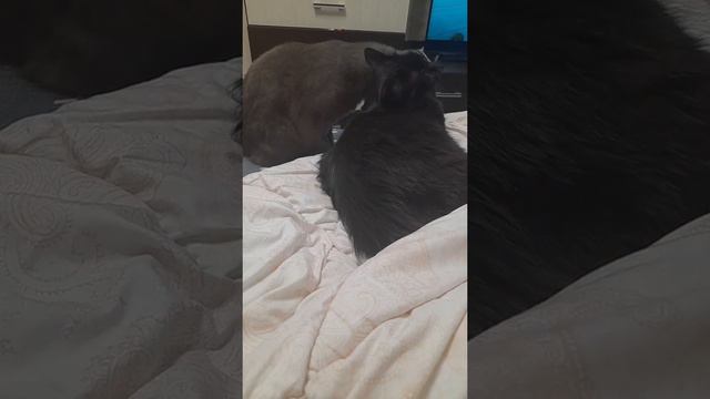 Марсель/Буся=Любовь💞