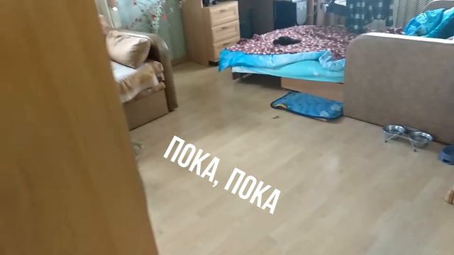 Пошла мама в магазин.