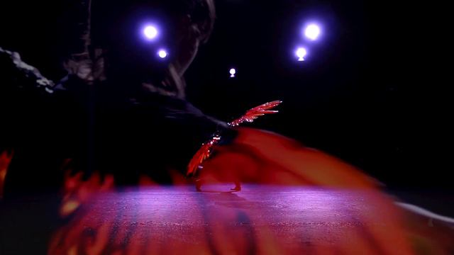 Phoenix Wings Showcase