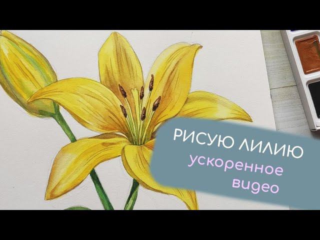 A9a94882f7ac408842d5021dd1f3b17a