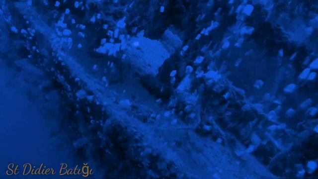 Batik Dalişi Antalya