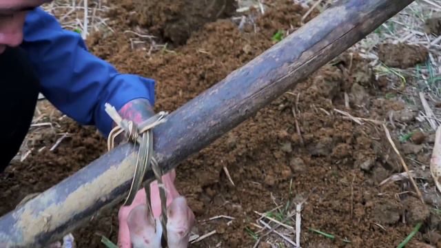 7589ec3d7274a5c5ace93e231ac675c9