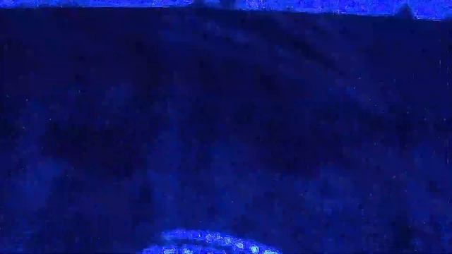 [FREE FOR PROFIT] SAD CLOUD RAP X BONES TYPE BEAT 