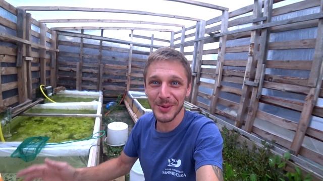 С теплички в аквариум. Когда будут вьюны и природа