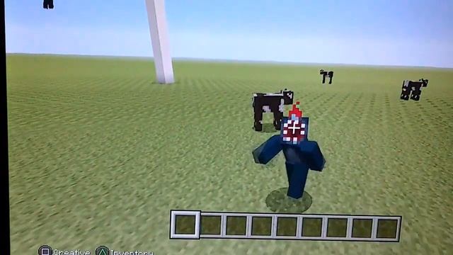 Minecraft-First Birthday Skin Pack