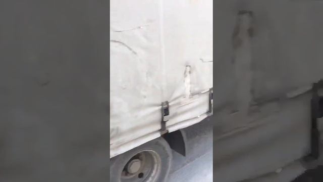 Рено премиум паровоз 120 кубовый