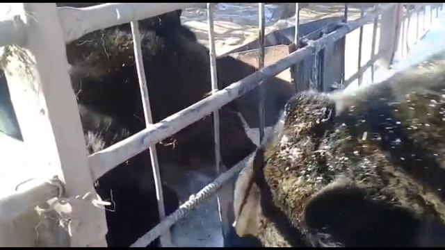 Маша и Миша встретились