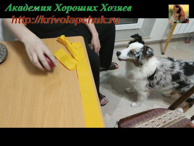 Пример отрицательного подкрепления