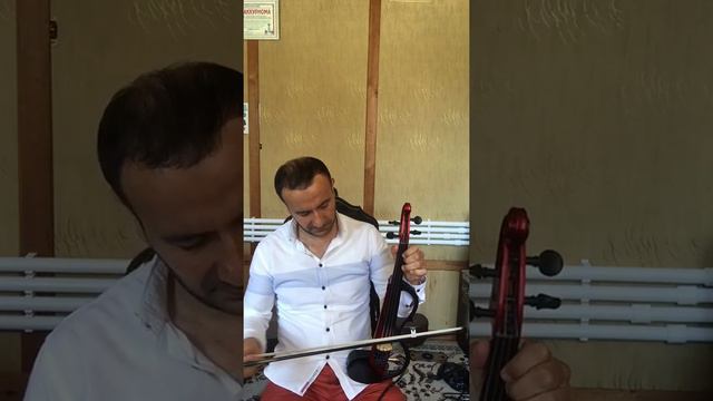 Tanovor Kuyi Elektr Sktipka! Jonli Ijro Abdug’ofur Kamolov Ijrosida