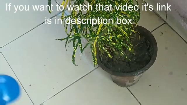 936ca258efe6e573c44664b1ce4844c6