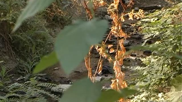 Феодосийские власти пресекли незаконный сброс сточных вод в древний генуэзский ров