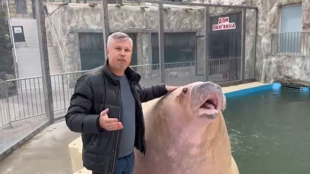 4878c1fee4eea1fe9499014f967833ac