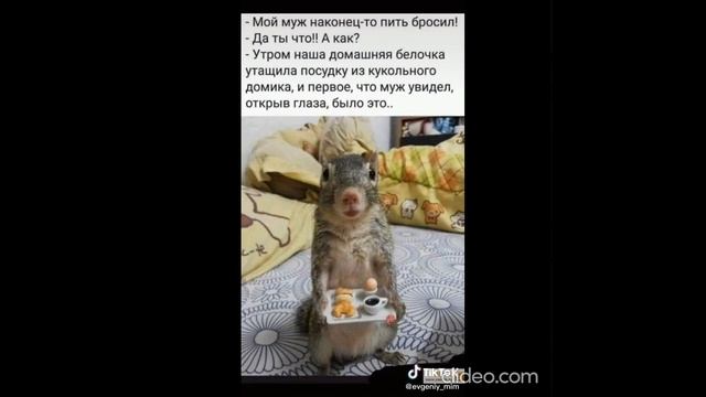 перед обедом 18.09 3