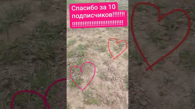 F427d56e1b9953f783ecd1d59c186196