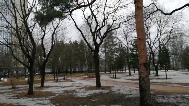 C1daa22d878f7a69cb2de15472b34462