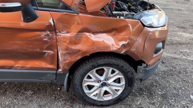 Скорость и адреналин