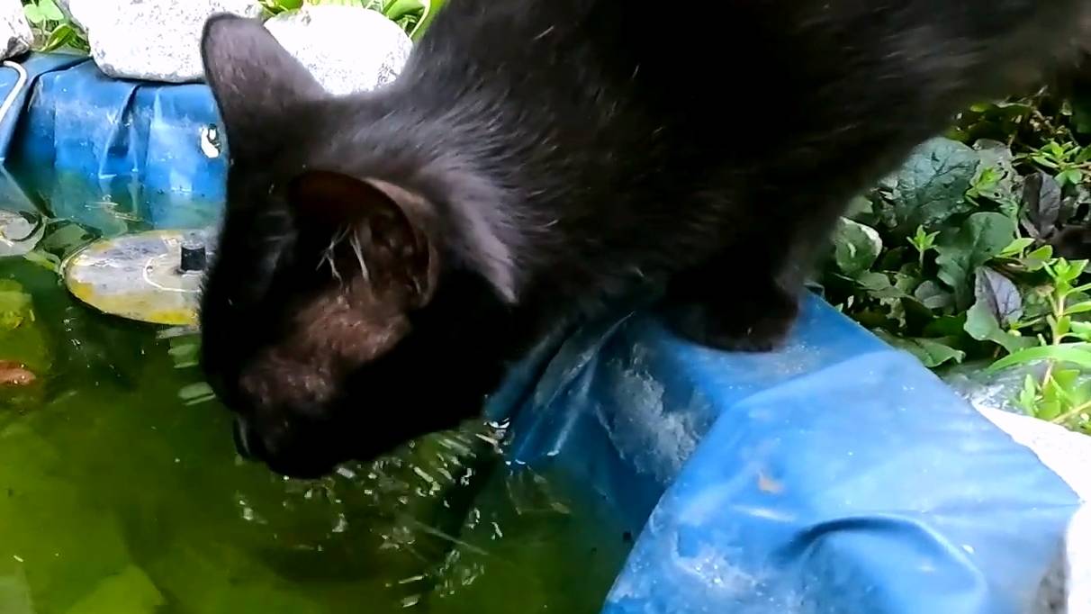 2532d85b229fb8b7928c9f3052bae90a