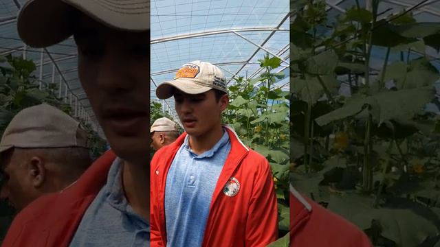 15 декабря 2020 г.