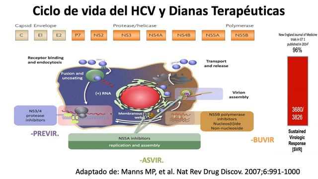 II Taller Actualización En Hepatitis Virales. ACIN Caribe
