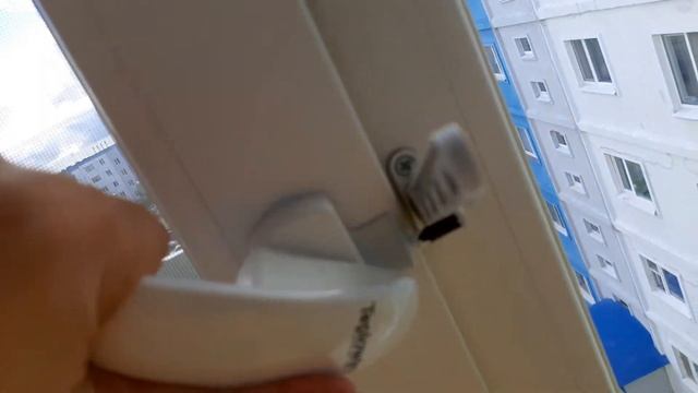 Запер муху в окне за то, что она мешала мне спать)