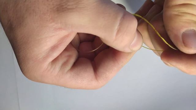 Океанская жизнь