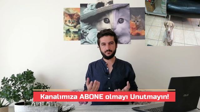Köpeklerde Kanlı İshal (Parvovirüs) Hastalığı Nedir? / Köpek Hastalıkları / Veterinary Abdullah ŞAH