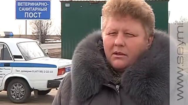 Заслон африканской чуме свиней