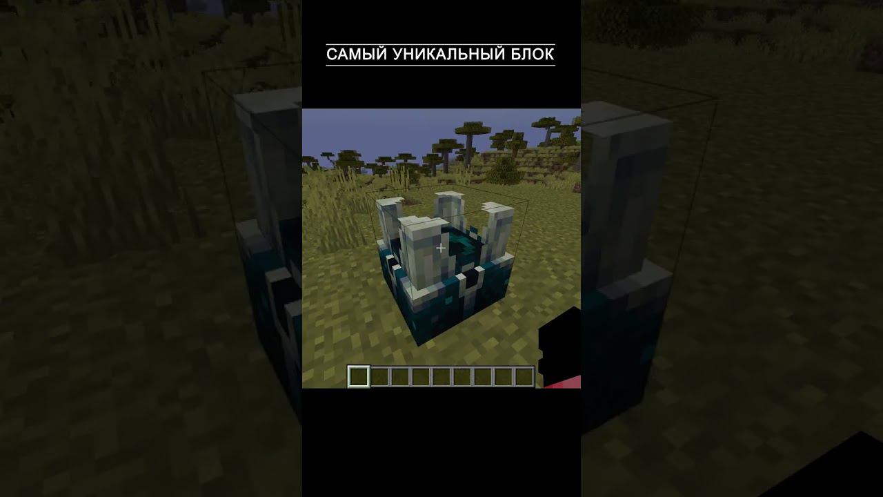 САМЫЙ УНИКАЛЬНЫЙ БЛОК В МАЙНКРАФТЕ#shorts
