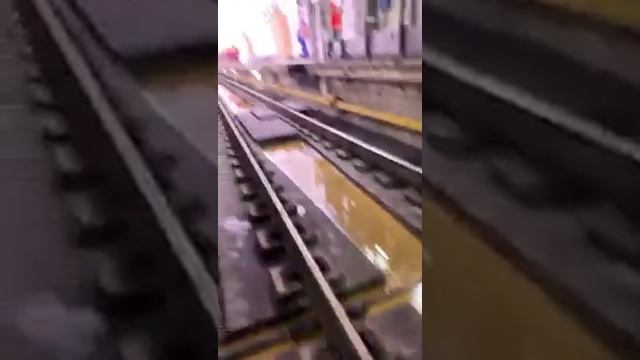 Потоп в метро МСК (15.01.2019)