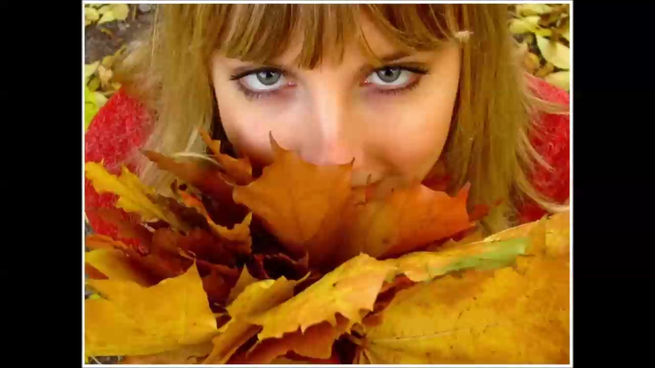 Teach In - Ding A Dong (Live Discoteka)