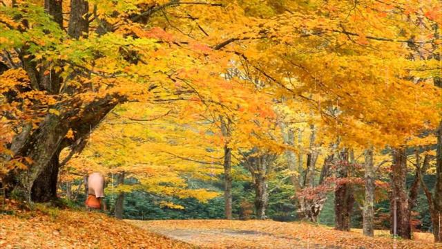 Жанна Бичевская - Тихая осень