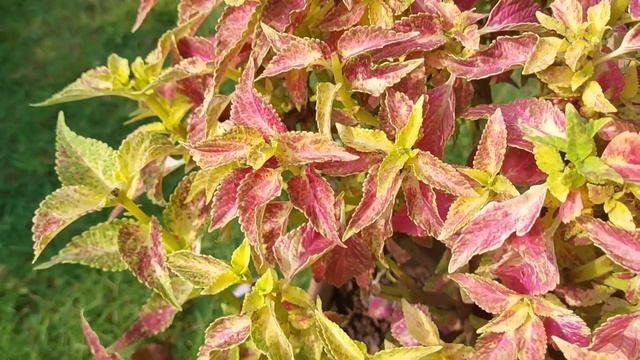 33b28c416c09a6595afdd0534400a3e6