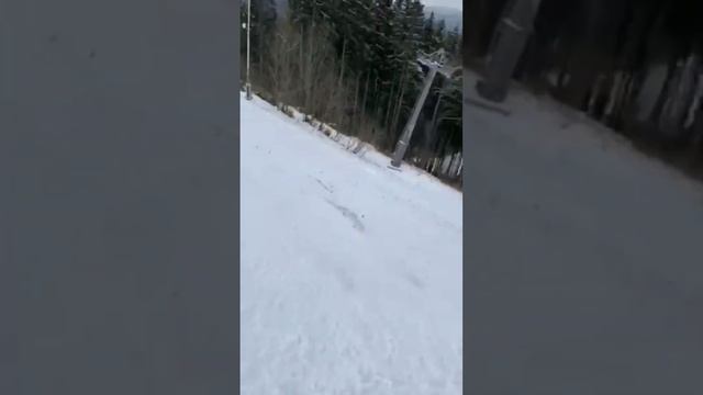 Буковель фрірайд