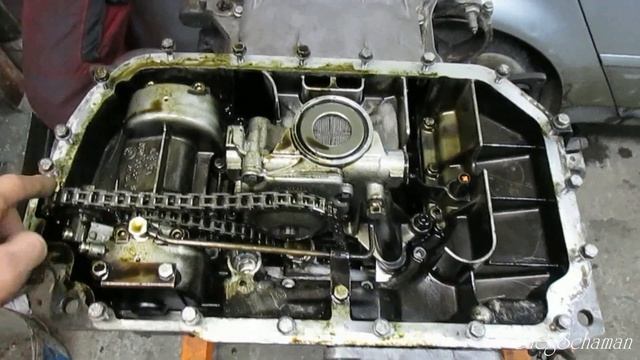 Домовладельцы и Сад