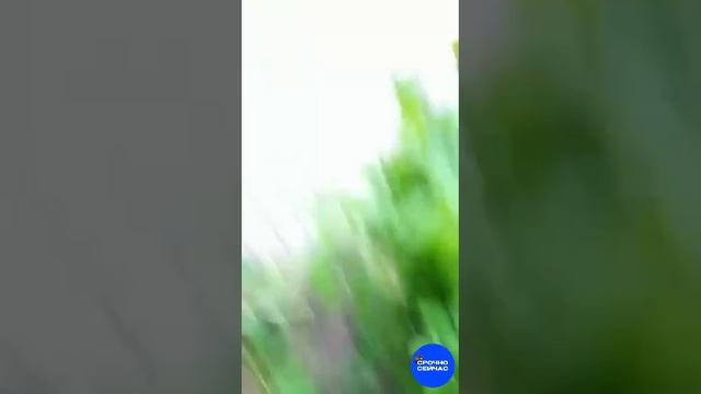 Украинские националисты задолбали уже даже латвийских пособников нацизма