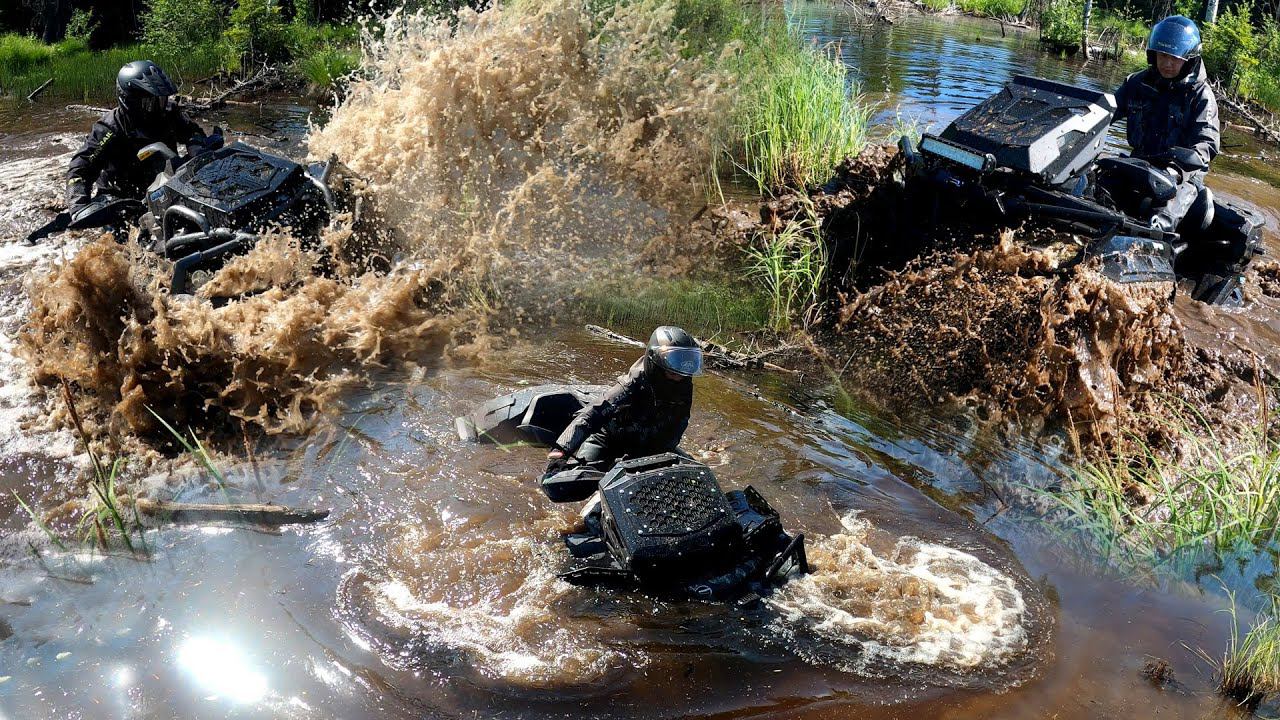 D86e66566cee584ca819925c9290f931