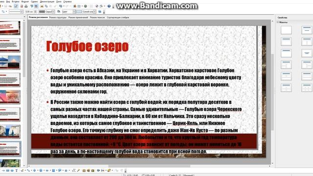 Олимпиада грамотности#13