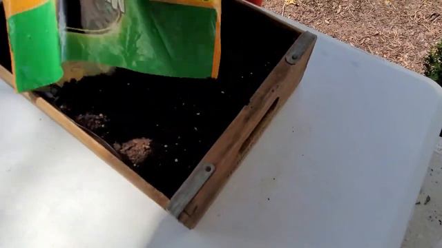 DIY Succulent Wall Planter - Watering System And Easy Construction