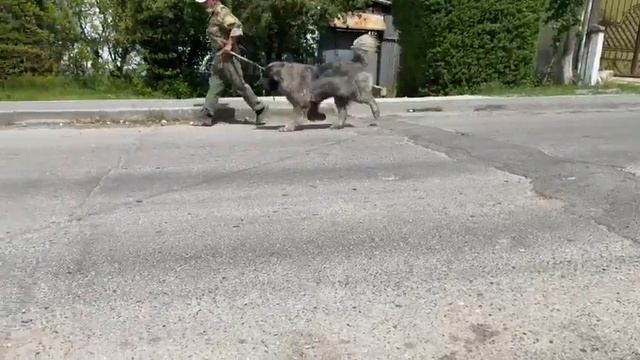 Bade9a3241ba3c17a4d490c21e295195